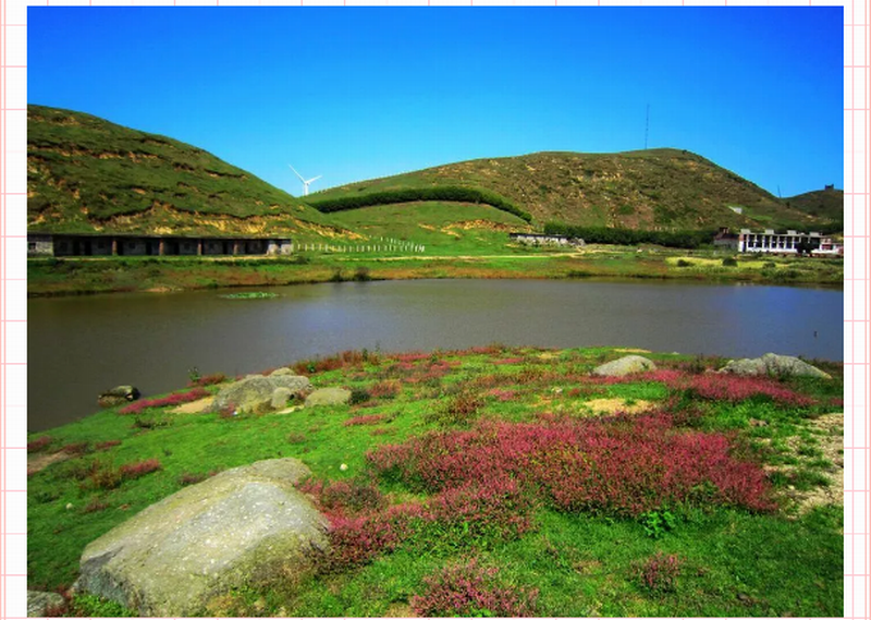 【心靈自駕】‖我不是“藥神”‖但是我這可以安放你那放蕩不羈的心。_門(mén)票預(yù)訂