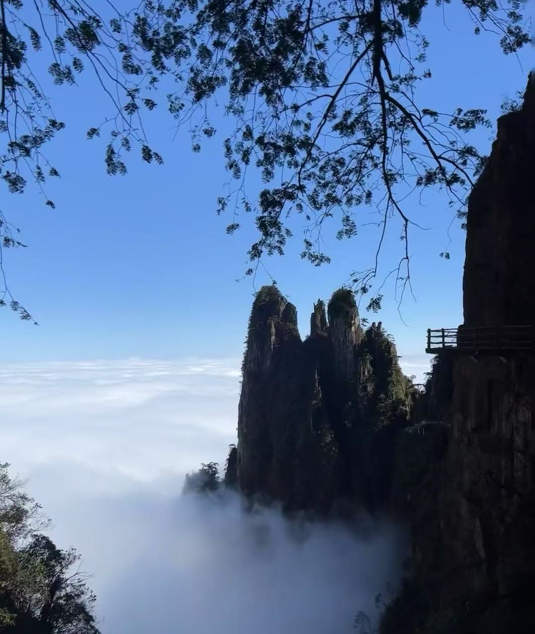 郴州七座租車(chē)_郴州資興租車(chē)